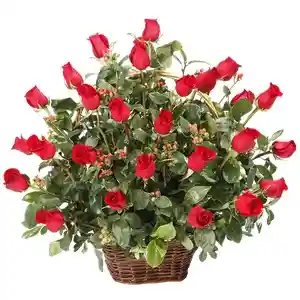 Canasta De Rosas Rojas