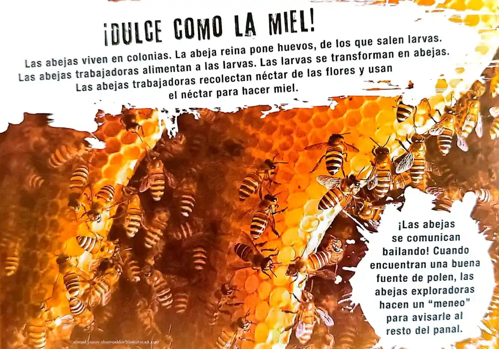 Libro Para Niños Y Juego 2 En 1 Figuras Animales Insectos