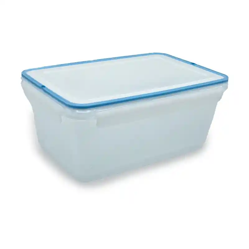 Caja Plástica 4.8 Litros Polar