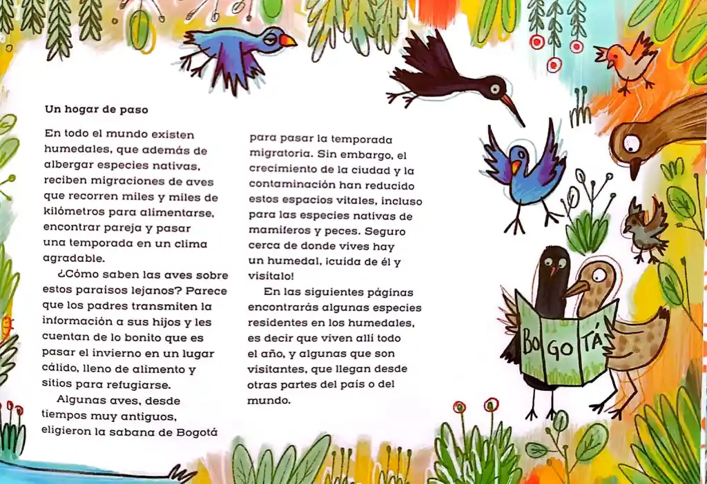 Libro Para Niños El Cuac Esta De Moda Autora Colombiana