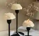 Vela Peony
