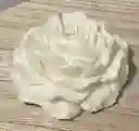 Vela Peony
