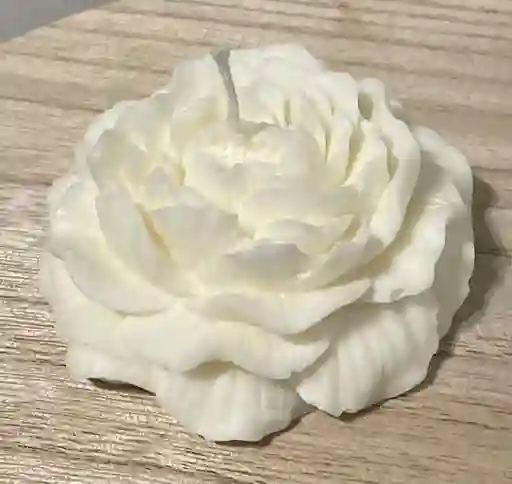 Vela Peony