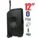 Cabina De Sonido Recargable 12 Pulgadas Bluetooth Wl-2156