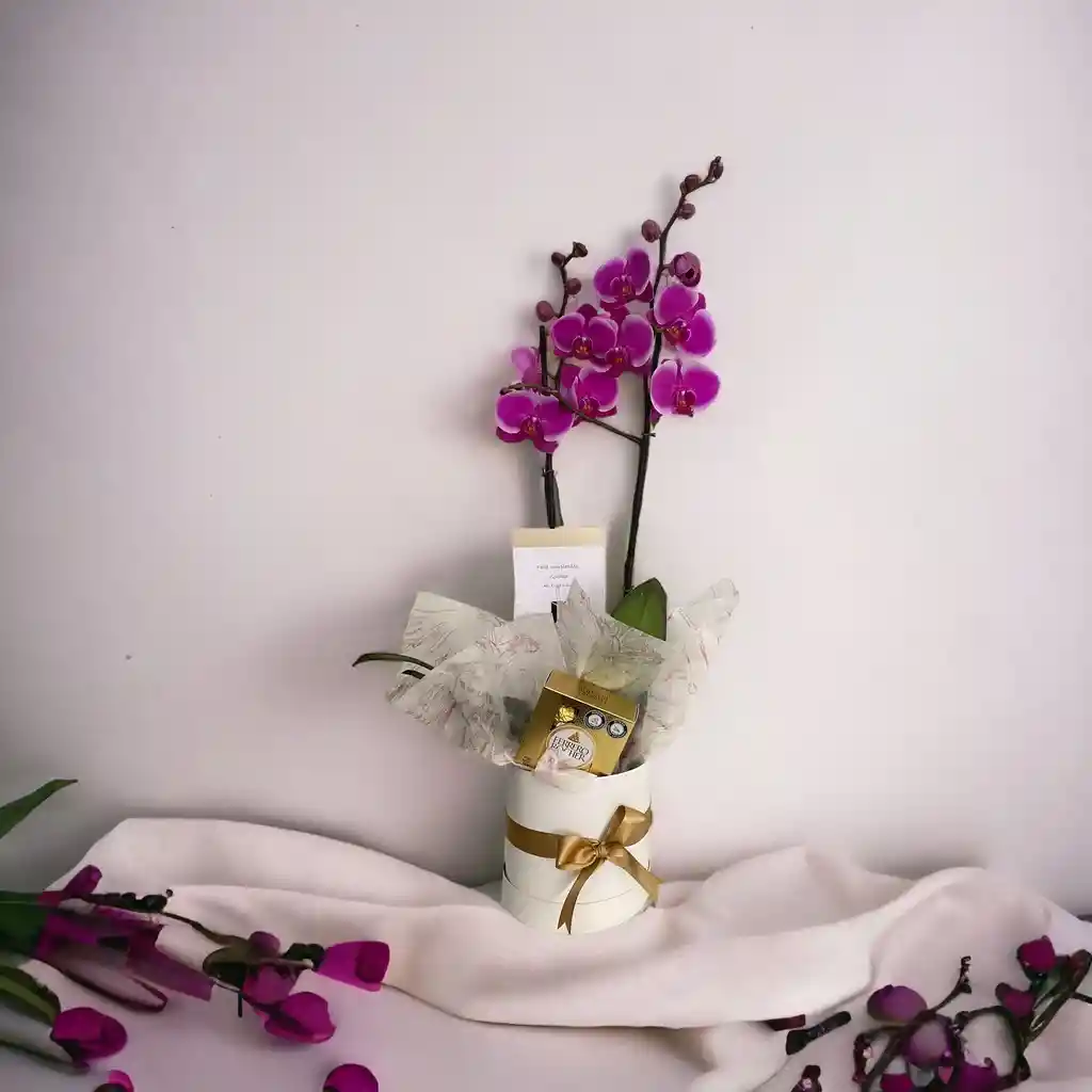 Dia De La Mujer - Gift Box Orquideas