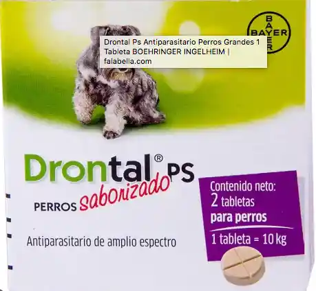 Drontal Perro 10kg