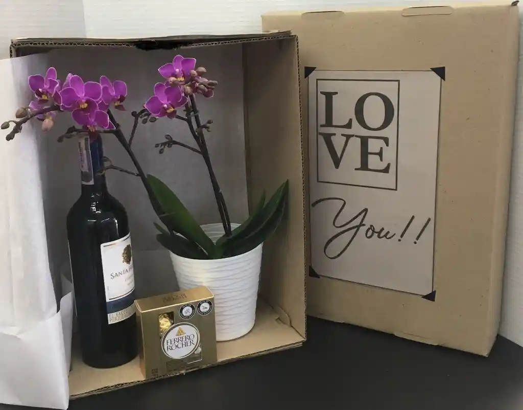 Orquídea De Regalo, Vino Y Chocolates