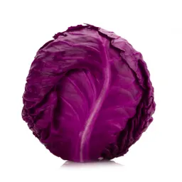 Semillas Repollo Morado Cultivo Culinario Jardin Hortaliza