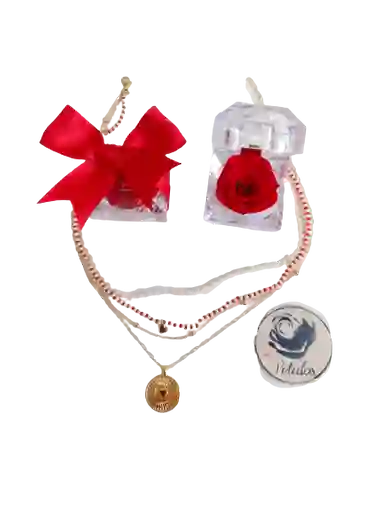 Cofre De Lujo De Rosa Preservada Roja Con Collar De Corazón