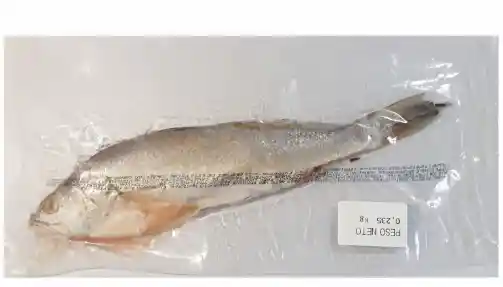 Corvina Empacada Al Vacio