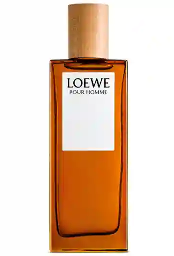 Loewe Pour Homme Edt 100 Ml