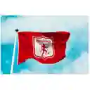 Bandera América De Cali 1.50x90cm Exterior Grande