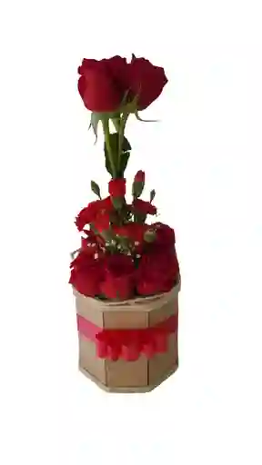 Rosas Para Enamorar