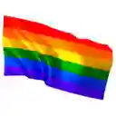 Banderin Lgbt Orgullo Gay 30x20cm Bandera Mano Unifaz