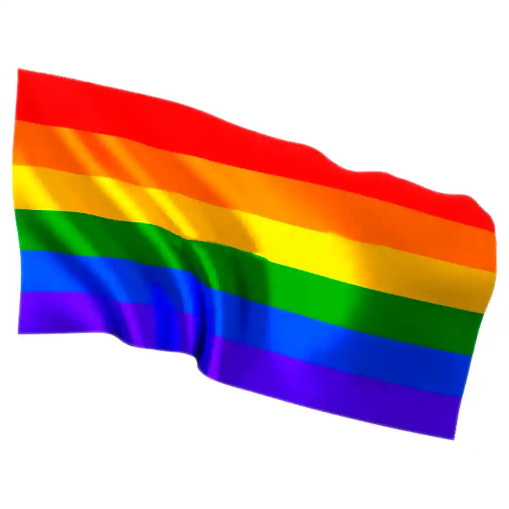 Banderin Lgbt Orgullo Gay 30x20cm Bandera Mano Doble Faz