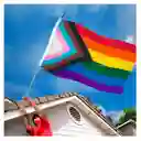 Bandera Lgbt Progress Noraml 1mtrx1.5mt Orgullo Gay Grande Exterior