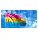 Bandera Pansexual 1mtr X1.5mt Orgullo Gay Lgbt