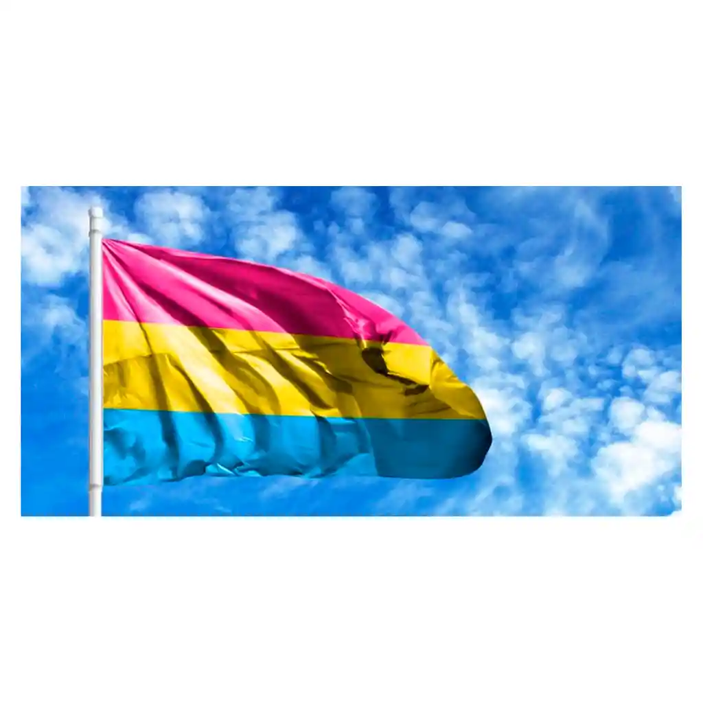 Bandera Pansexual 1mtr X1.5mt Orgullo Gay Lgbt