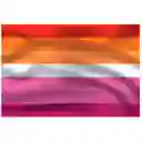 Bandera Lesbian 1mtr X1.5mt Orgullo Gay Lgbt