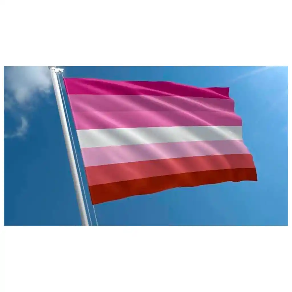 Bandera Lesbian 1mtr X1.5mt Orgullo Gay Lgbt