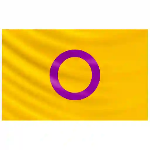 Bandera Intersexual 1mtr X1.5mt Orgullo Gay Lgbt