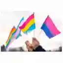 Bandera Bisexual 1mtr X1.5mt Orgullo Gay Lgbt