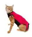 Faja Para Gatos Post Quirurgica Talla L Peso 5 A 10 Kg