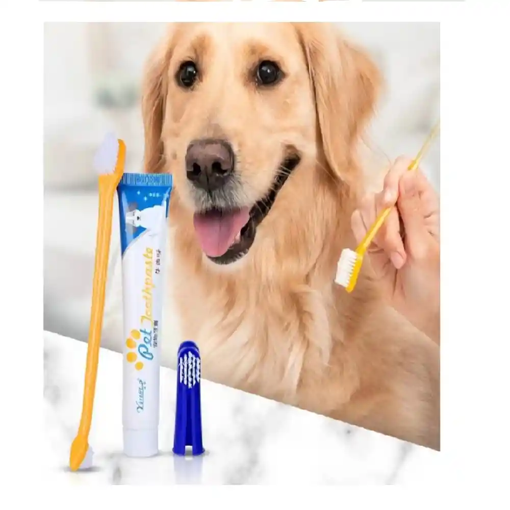 Kit Cepillo De Dientes Y Crema Dental Para Mascotas