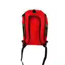 Mochila Ventana En Malla Tipo Morral Grande Perros Mediano