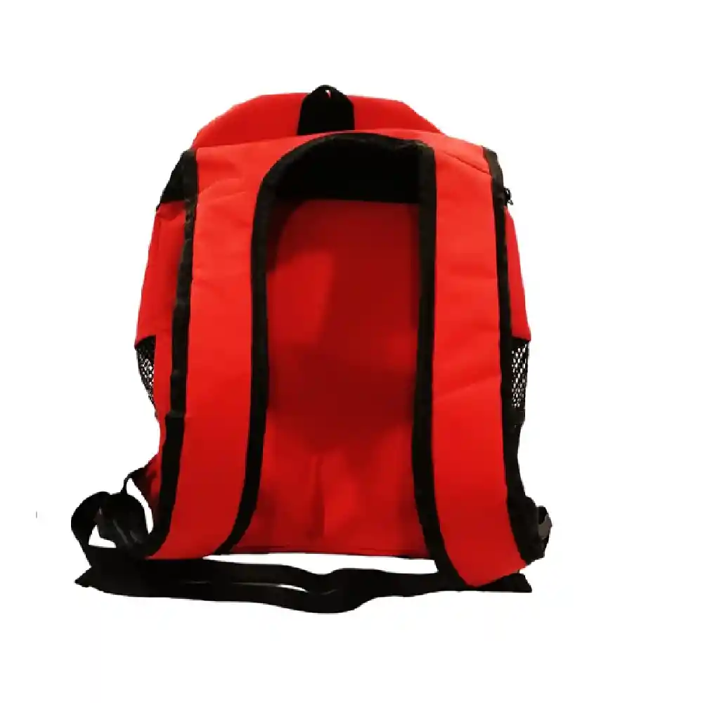 Mochila Cargador Tipo Morral Con Malla Para Gatos Y Perros