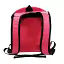 Mochila Cargador Tipo Morral Con Malla Para Gatos Y Perros