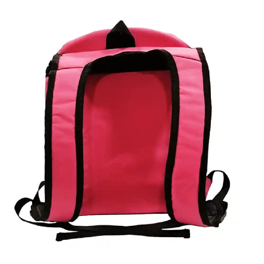 Mochila Cargador Tipo Morral Con Malla Para Gatos Y Perros