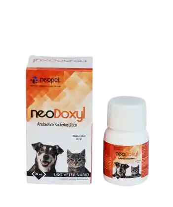 Neodoxyl X 60 Ml