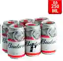 Budweiser 269 Lt X6