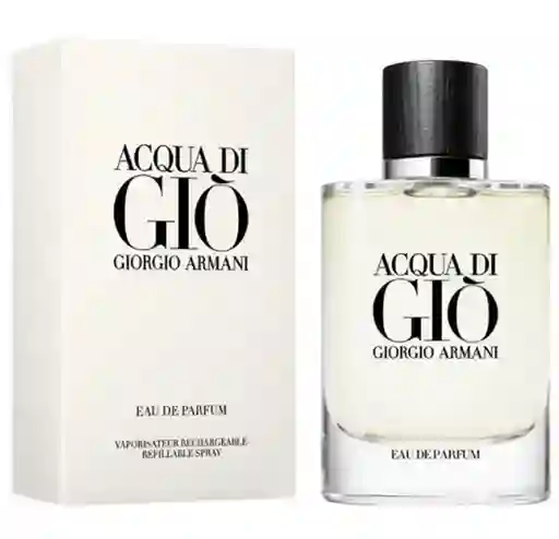 Giorgio Armani Perfume Acqua Di Giò Edp