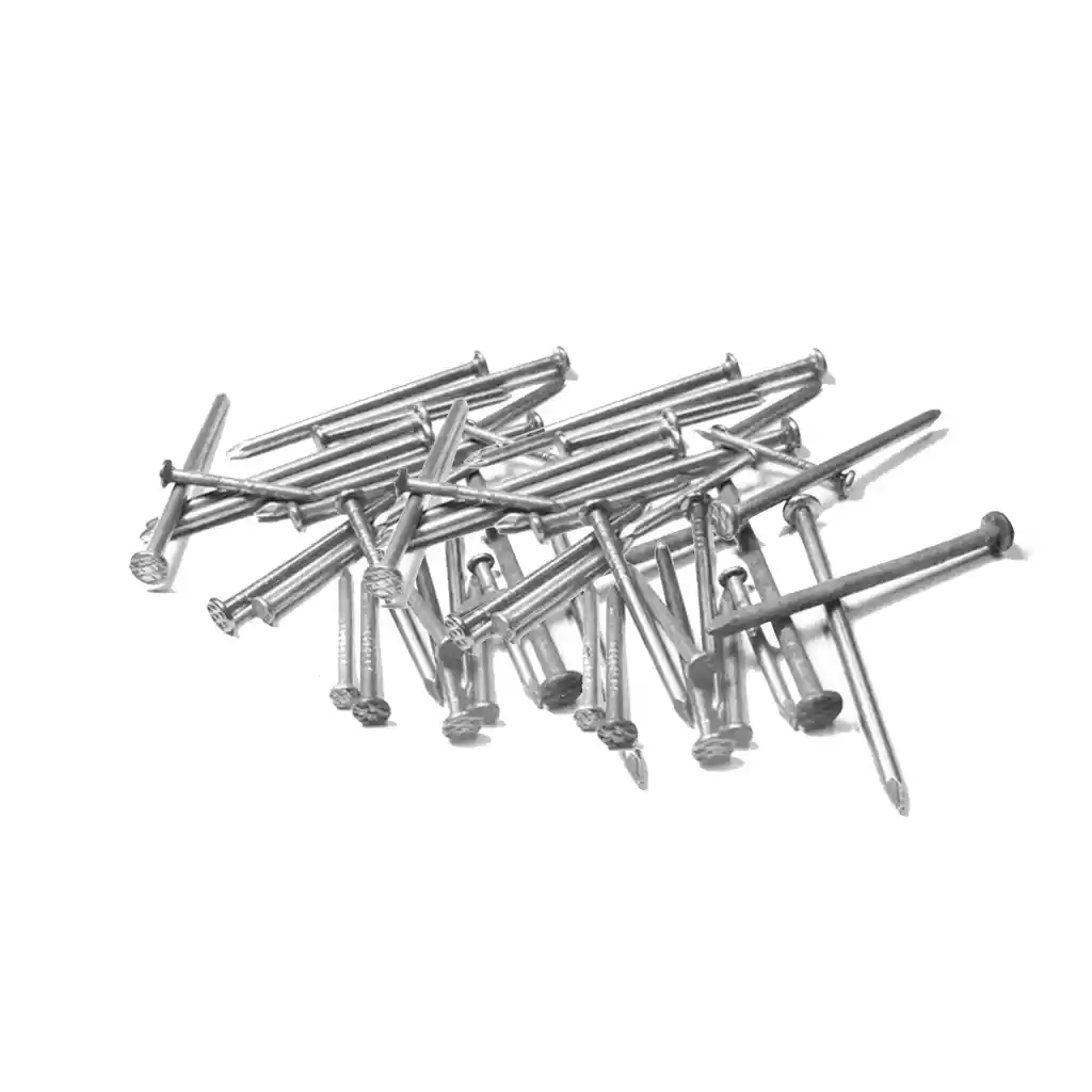 Puntilla Con Cabeza 1" (caja)