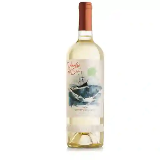 Vientos Del Sur Private Reserve Sauvignon Blanc 750 Ml