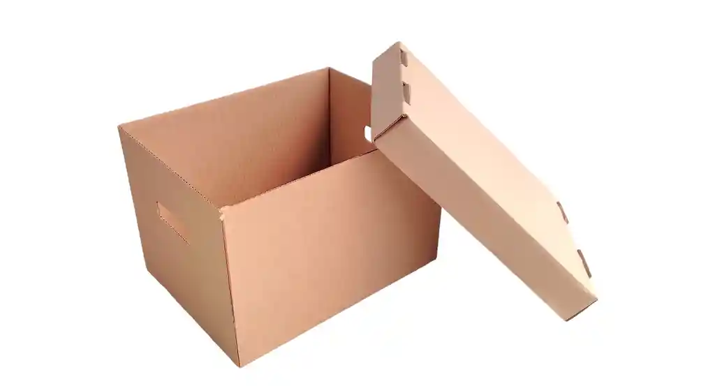 Caja De Archivo Con Tapa 40x30x26cm