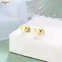 Aretes En Acero Diseño Libélula Labrada.