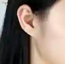 Aretes En Acero Diseño Libélula Labrada.
