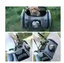 Bolso Transportador De Mascota Gato Con Cápsula Naranja