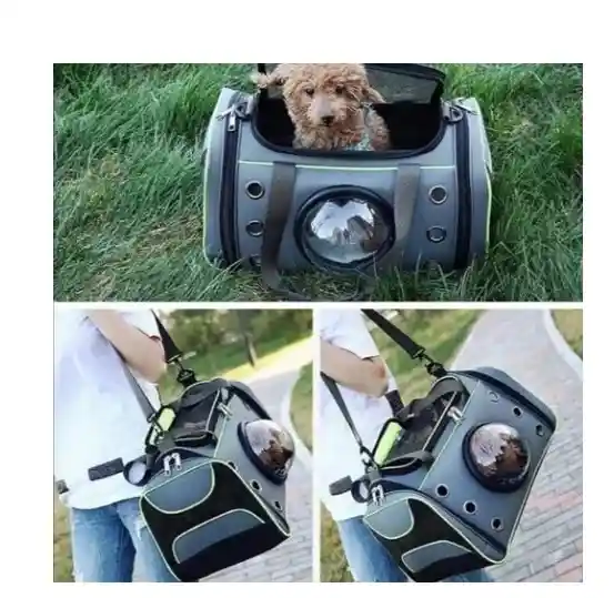 Bolso Transportador De Mascota Gato Con Cápsula Verde