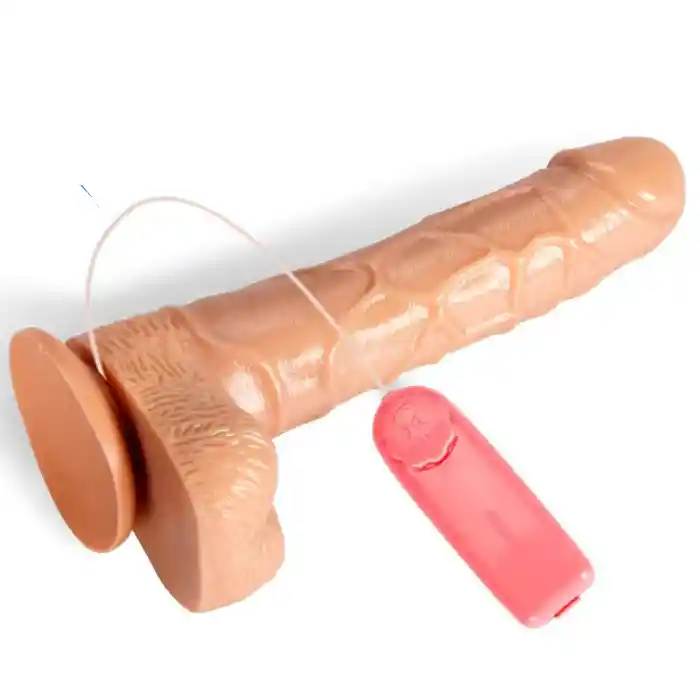 Dildo Consolador Vibrador Realista Con Ventosa Y Control The Penistpe 15 Cm