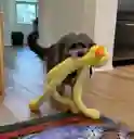 Juguete De Peluche Para Perros Swingin Slevin Duck