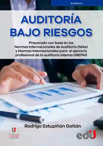 Auditoría Bajo Riesgos