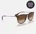 Ray-ban Erika 4171 865/13 Marco Marron Lente Marron Size 5418 Rayban Ray Ban Lentes De Sol