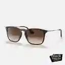 Ray-ban 4187 856/13 Chris Marco Y Lentes Marron Gafas De Sol Ray Ban Rayban Gafas De Sol