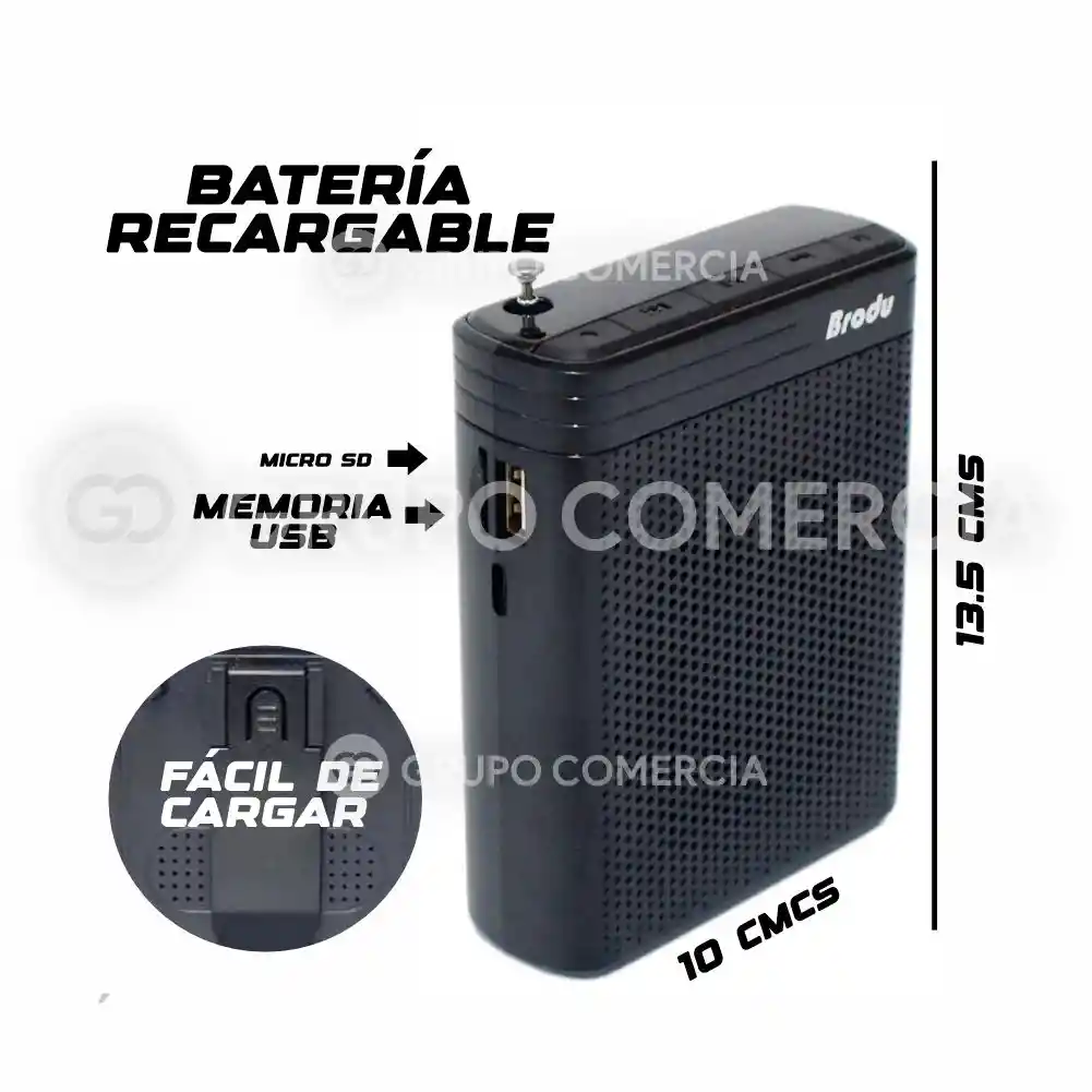 Parlante Perifoneo Micrófono Inalámbrico Potente Usb / Mp3