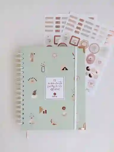 Kit De Agenda Icons + Stickers