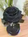 Rosa Preservada Color Negro Terciopelo